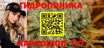 крисы Обь