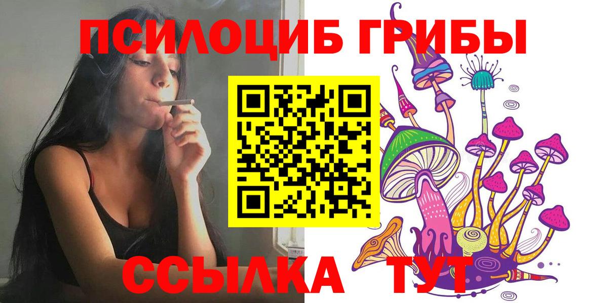 Псилоцибиновые грибы Cubensis Строитель