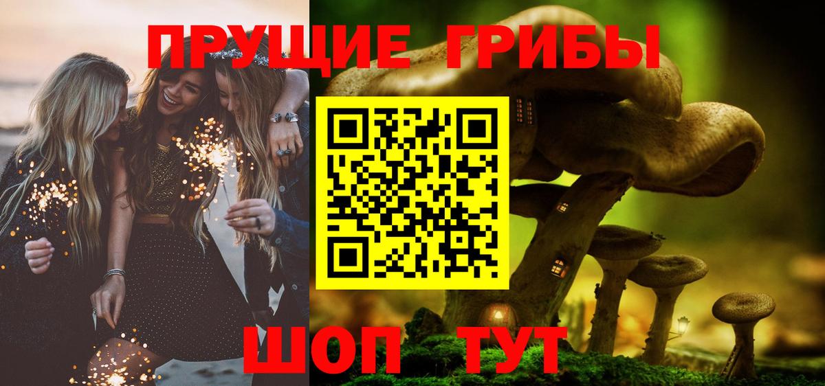 Строитель  Галлюциногенные грибы Cubensis  Вход с VPN  Псилоцибиновые грибы Psilocybine cubensis 